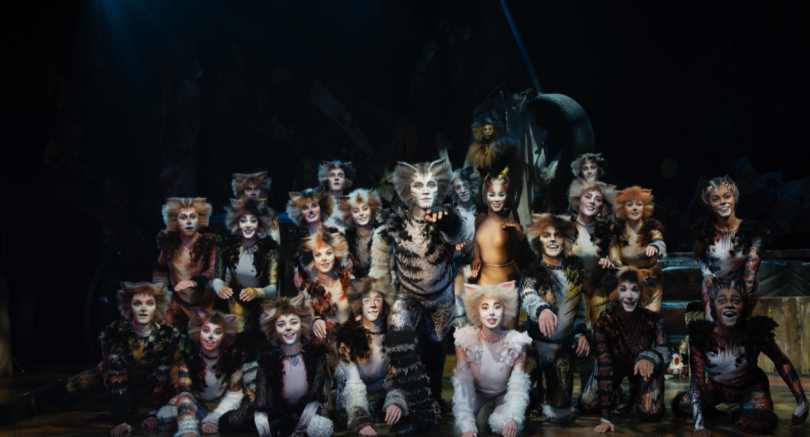 Cats 1_1