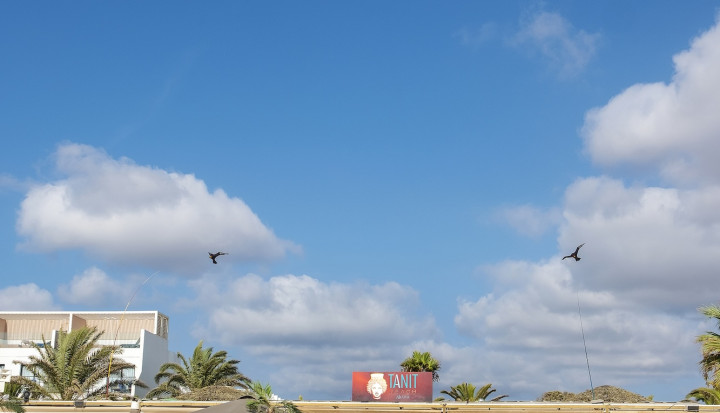 tanit_beach016
