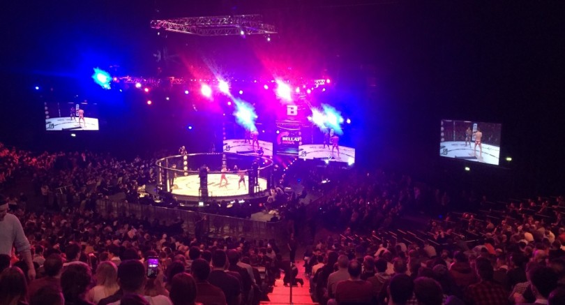 1260x1260-1482408476-bamma1